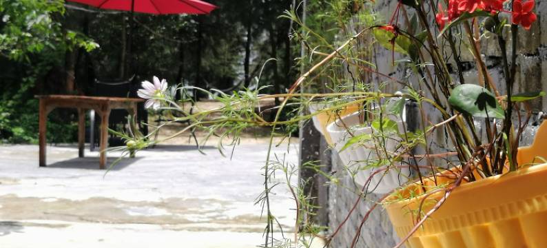 珍珠湾四间半海景沙滩民宿(龙眼井大道分店)图片