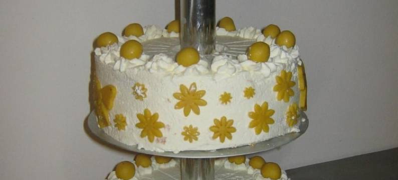 魏格纳乡村别墅酒店(Wegeners Landhaus UG)图片