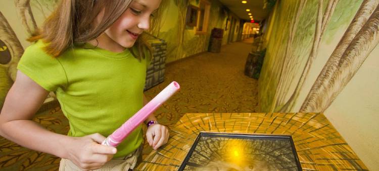 桑德斯基大狼屋酒店(Great Wolf Lodge Sandusky)图片