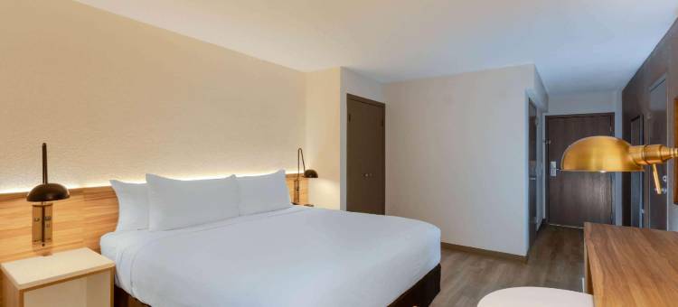 塔拉哈西温德姆花园卡皮托尔酒店(Wyndham Garden Tallahassee Capitol)图片