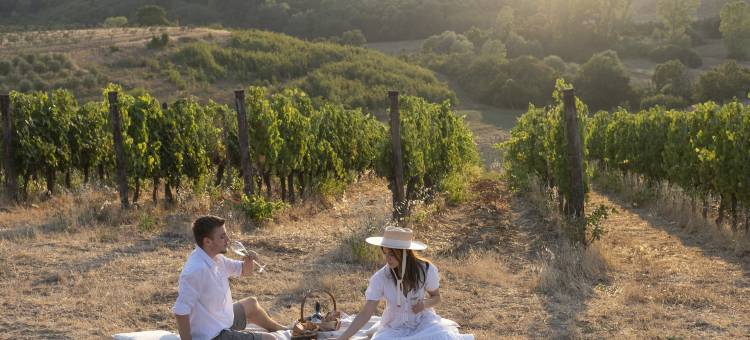 Petriolo别墅(Villa Petriolo)图片