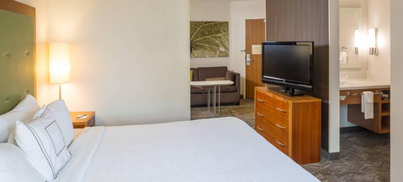 汉普顿SpringHill Suites酒店(SpringHill Suites Hampton)图片