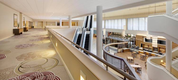 费城市中心喜来登酒店(Sheraton Philadelphia Downtown)图片