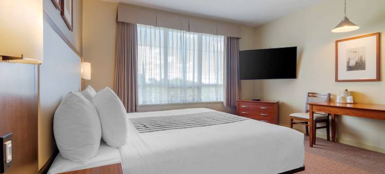 彻梅纳斯贝斯特韦斯特优质酒店(Best Western Plus Chemainus Inn)图片