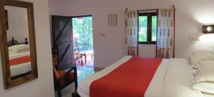 Kanha Jungle Lodge图片