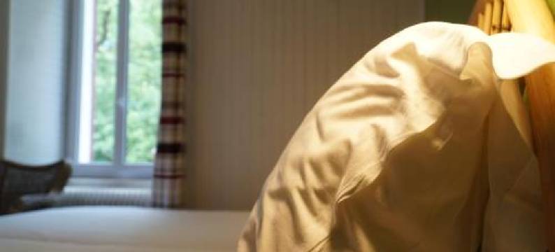 莱斯格力欧杜莫旺旅馆(Les Grillons du Morvan)图片