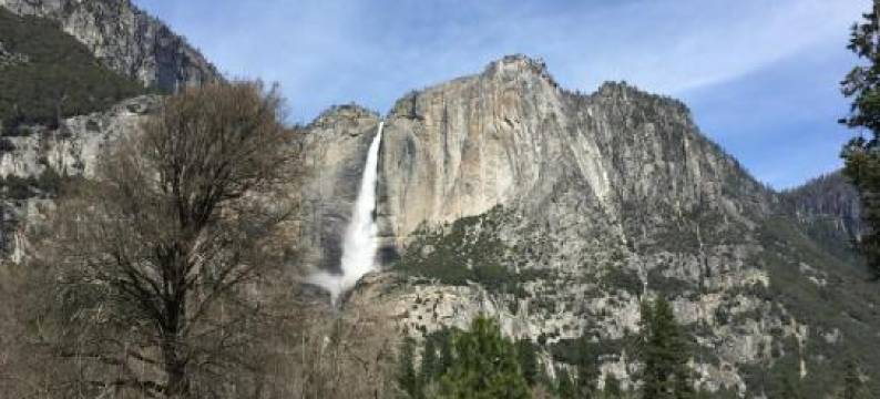 Carriage House at Yosemite图片