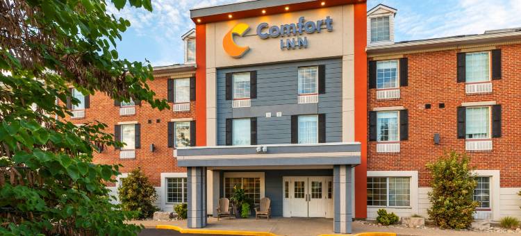舒适酒店(Comfort Inn)图片