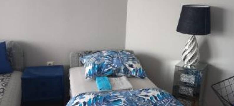 Anker Silver Dream图片