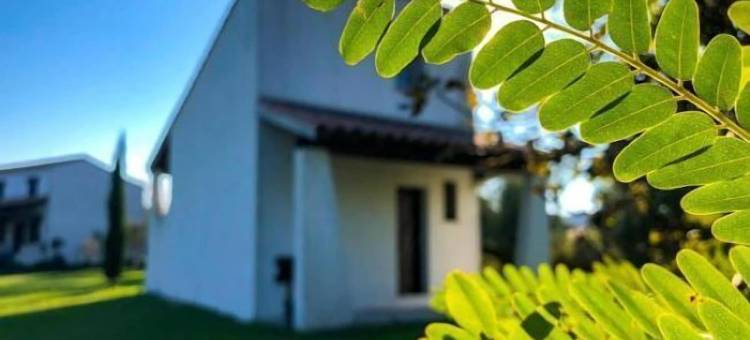 马斯沙瓦吉昂酒店(Hôtel Mas le Sauvageon)图片