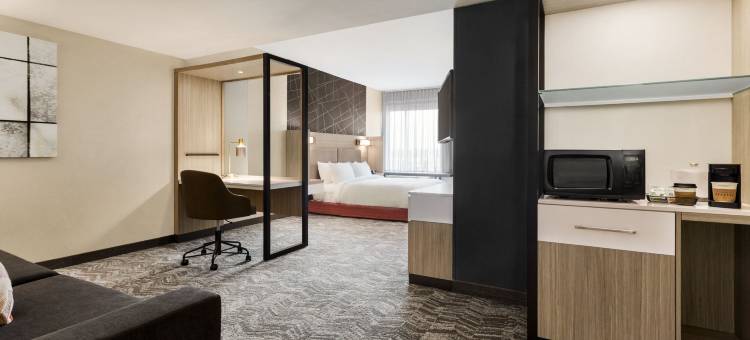 希尔营SpringHill套房酒店(SpringHill Suites Camp Hill)图片