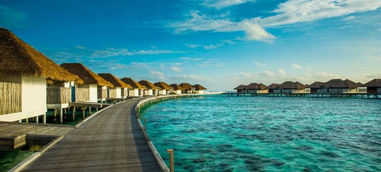 玛利夫锡科莫酒店(COMO Maalifushi)图片