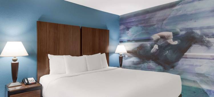 胜者圈贝斯特韦斯特酒店(Best Western Winners Circle)图片