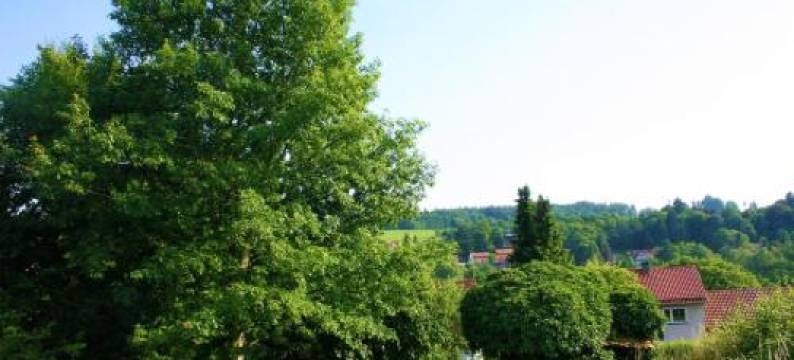 威宁旅馆(Pension Weinig)图片