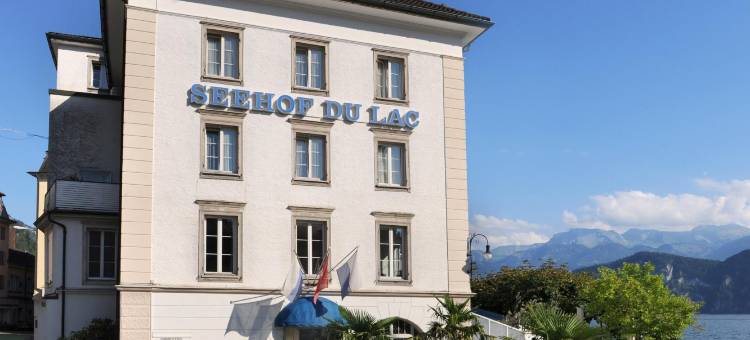 斯霍夫湖滨酒店(Seehof Hotel du Lac)图片
