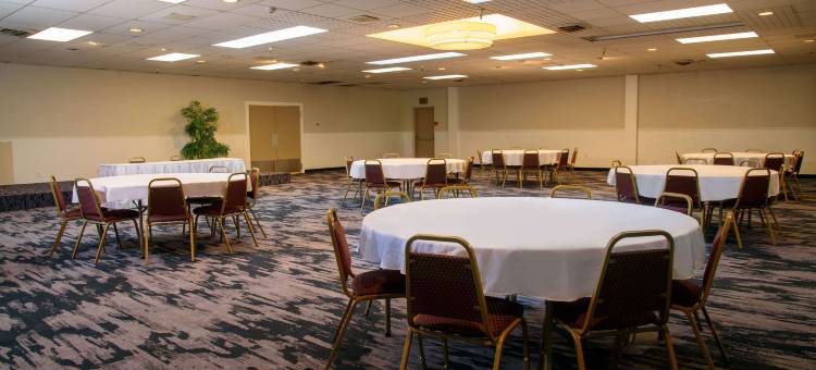 凯艺酒店(Quality Inn)图片