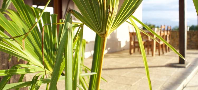 安森尼奥克酒店(Ancienne Ecole)图片