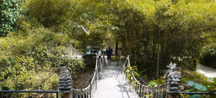 班奈蒙树屋(Bannaimong Treehouse)图片