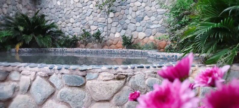 怡馨园温泉酒店图片