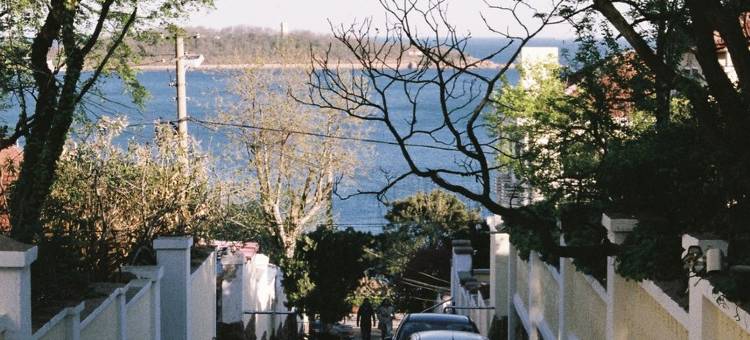 房东田野公寓(海阳路分店)图片