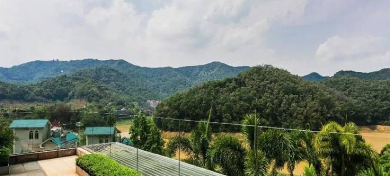 广州别墅民宿(粤华路分店)图片