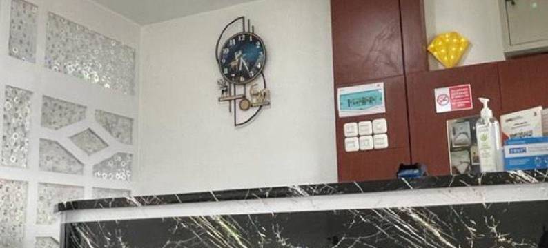 钻石酒店(Hotel Berlian)图片