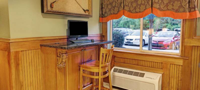 伍德斯托克/亚特兰大北麦客达温德姆酒店(Microtel Inn & Suites by Wyndham Woodstock/Atlanta North)图片