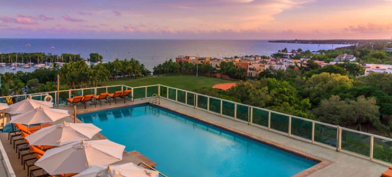 Arya Hotel & Suites Coconut Grove图片