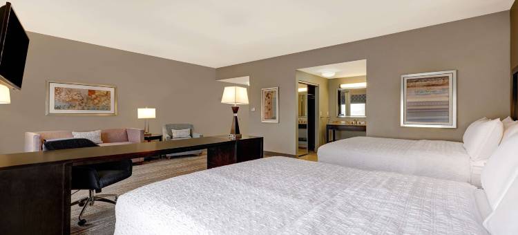 坦帕西北/奥尔兹马欢朋套房酒店(Hampton Inn & Suites Tampa Northwest/Oldsmar)图片