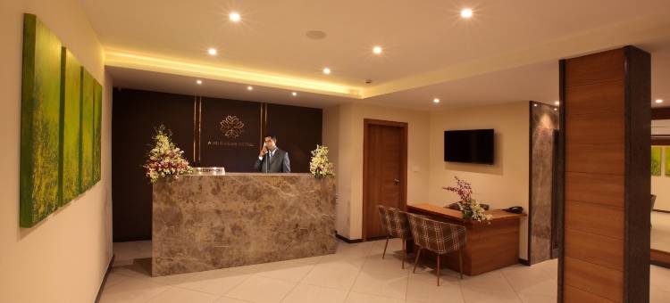 阿查纳酒店(Hotel Archana)图片