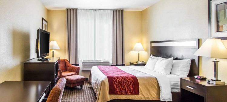 佩森舒适酒店(Comfort Inn Payson)图片