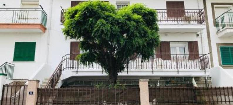 Casa la Mimbrera图片