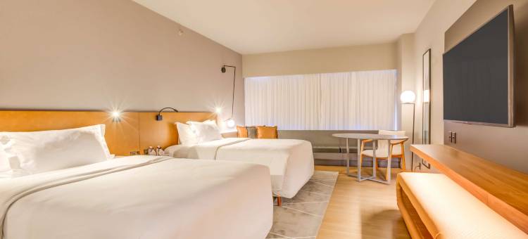 波尔图阿雷格里双杏希尔顿酒店(DoubleTree by Hilton Porto Alegre)图片