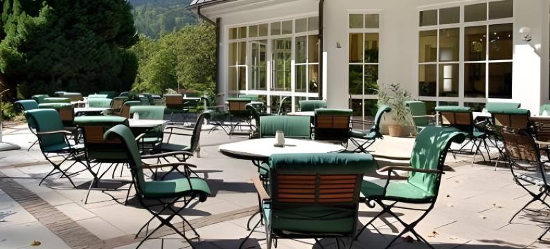 贝得苏博万酒店(Waldhotel Bad Sulzburg)图片