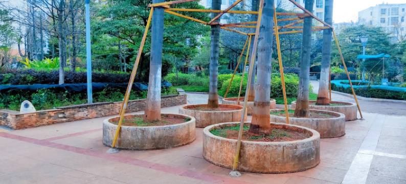 丽阳星城1028公寓(海源北路分店)图片