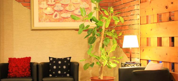 别府风雅旅馆(Beppu Fuga)图片