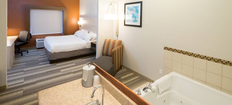 智选假日套房酒店大布兰克(Holiday Inn Express & Suites Grand Blanc)图片