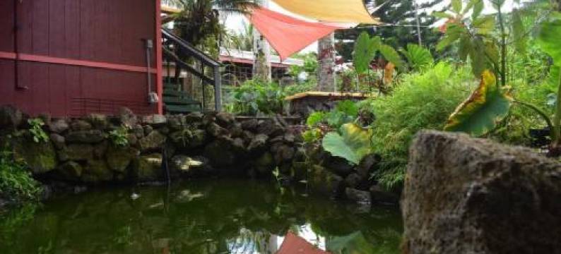 The Red Cottage and Hawaiian Pond Garden Paradise!图片