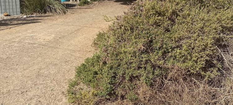 Koru Cottage is a cosy home nestled in the dunes of beautiful Vivonne Bay on KI.图片