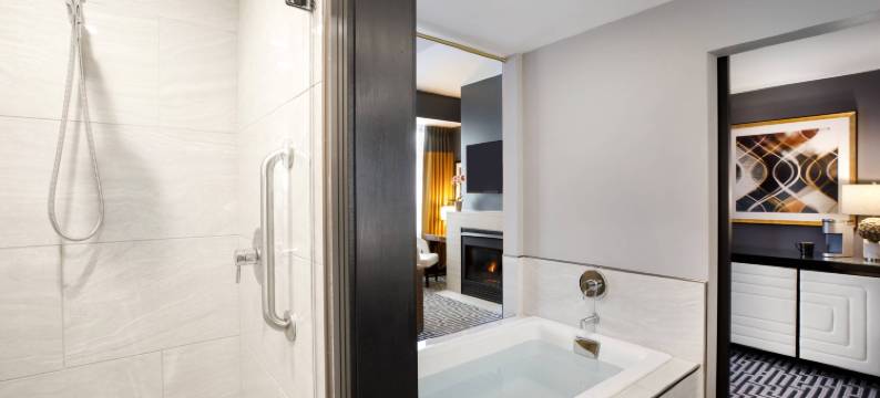 地铁酒店-傲途格精选(Hotel Metro, Autograph Collection)图片