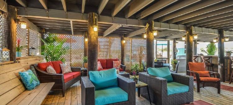 Candice Cove - Ocean Front Paradise on Amelia Island, Florida图片
