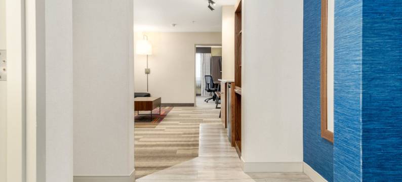 梅迪辛哈特横加1号高速公路智选假日套房酒店(Holiday Inn Express & Suites MEDICINE HAT TRANSCANADA HWY 1 by IHG)图片