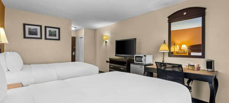 萨默塞特新不伦瑞克舒适套房酒店(Comfort Inn & Suites Somerset - New Brunswick)图片