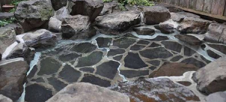 Pension Picnic图片