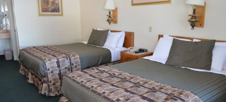 惠灵顿国家9号旅馆(National 9 Inn Wellington)图片