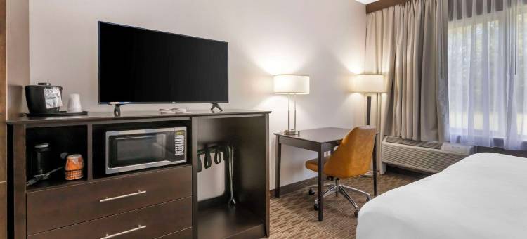 新里斯本康福特酒店及套房(AmericInn by Wyndham New Lisbon)图片