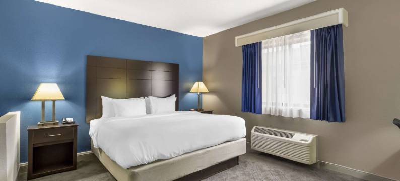 曼德林 - 弗农希尔斯舒适套房酒店(Comfort Inn & Suites Mundelein-Vernon Hills)图片