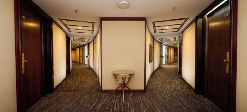 布加勒斯特大酒店(Grand Hotel Bucharest)图片