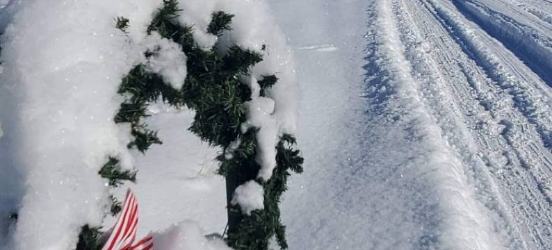 风行者家园的蒂潘诺戈斯#1牧场小屋(Ranchette Ponderosa - the Timpanogos #1 at Wind Walker Homestead)图片