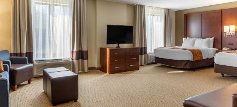 阿米什乡村舒适套房酒店(Comfort Suites Lancaster Amish Country)图片